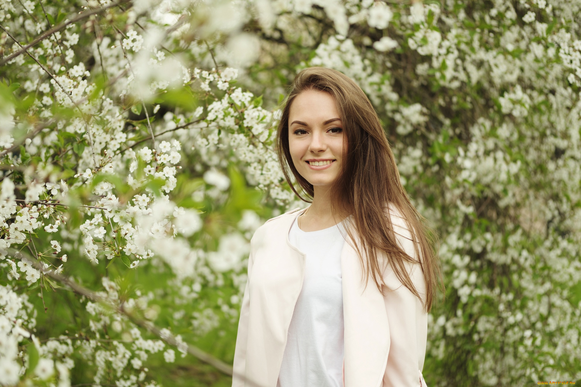 девушки, -unsort, , брюнетки, , шатенки, взгляд, волосы, цветение, милашка, модель, улыбка, лицо