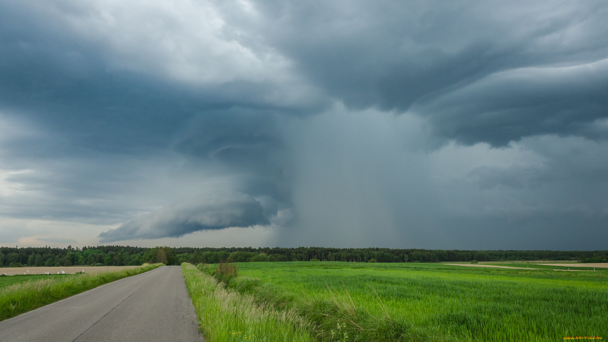 природа, стихия, простор