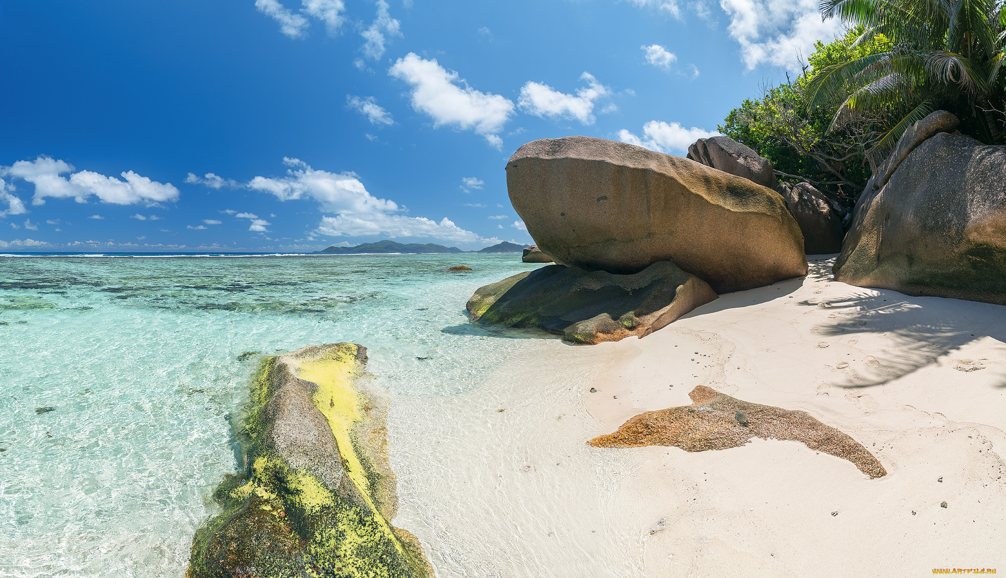 природа, тропики, океан, острова