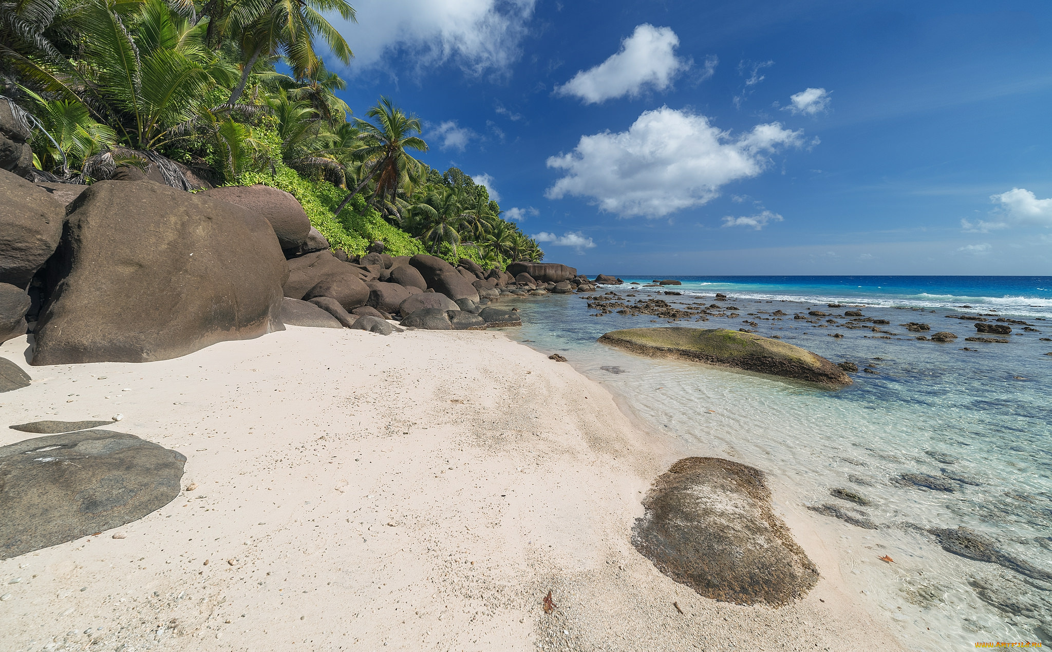 природа, тропики, океан, острова