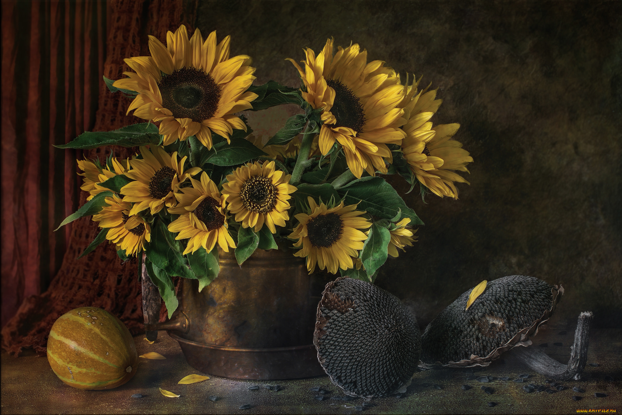 цветы, подсолнухи, цветок, желтый, подсолнух, листья, лепестки