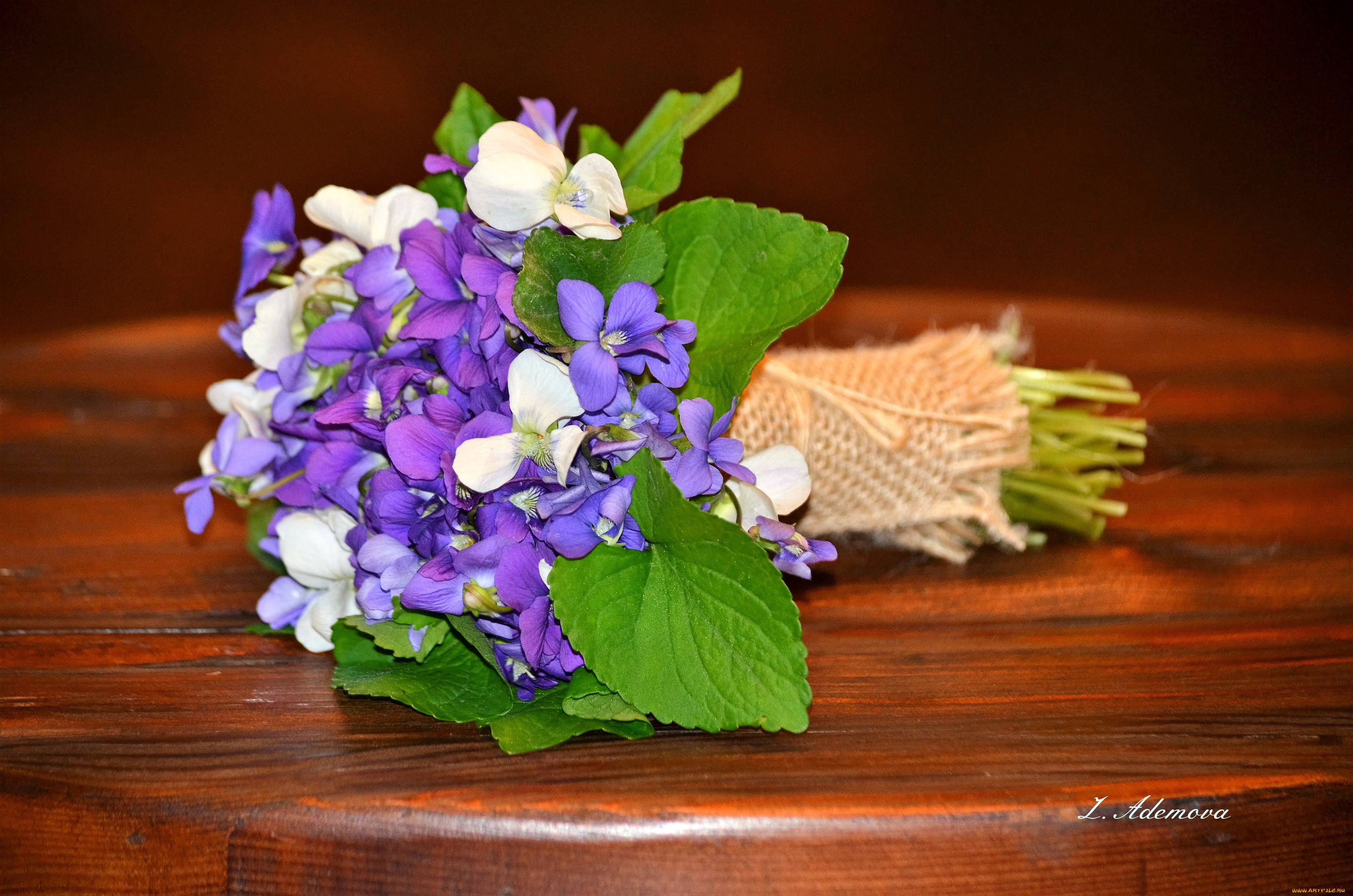 цветы, фиалки, букет, фиалка, лепестки