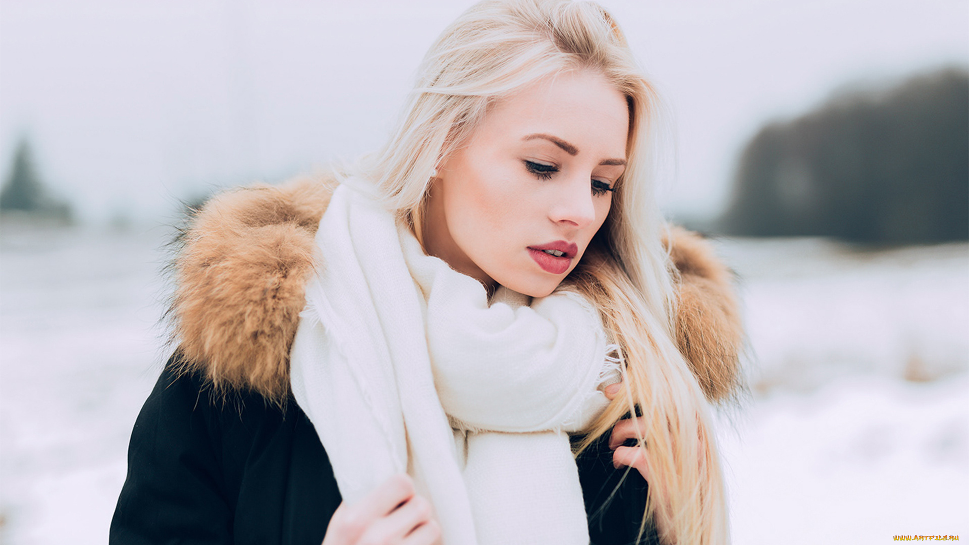 девушка, девушки, -unsort, , блондинки, , светловолосые, модель