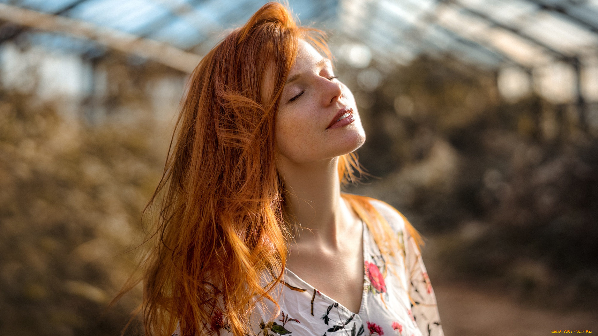 девушка, девушки, -unsort, , рыжеволосые, и, другие, модель