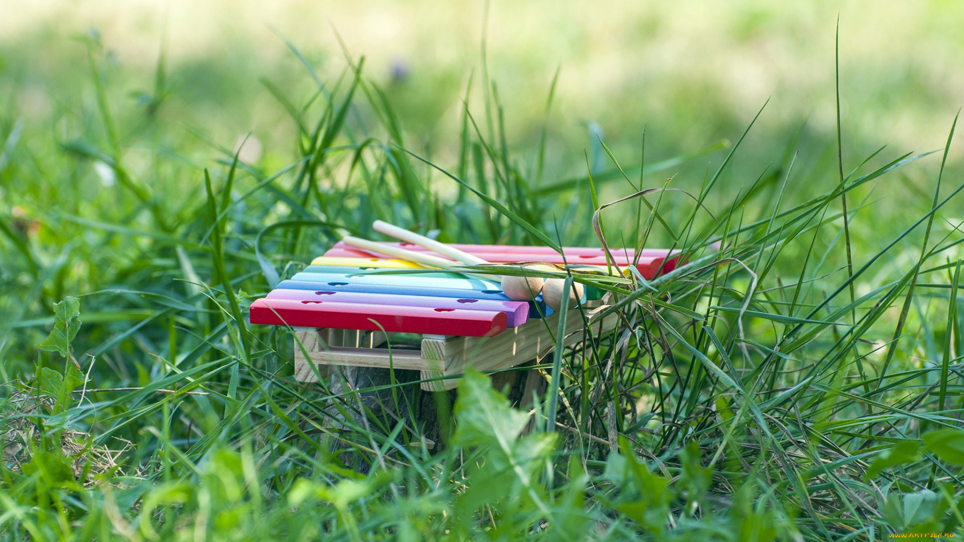 музыка, -музыкальные, инструменты, трава, инструмент