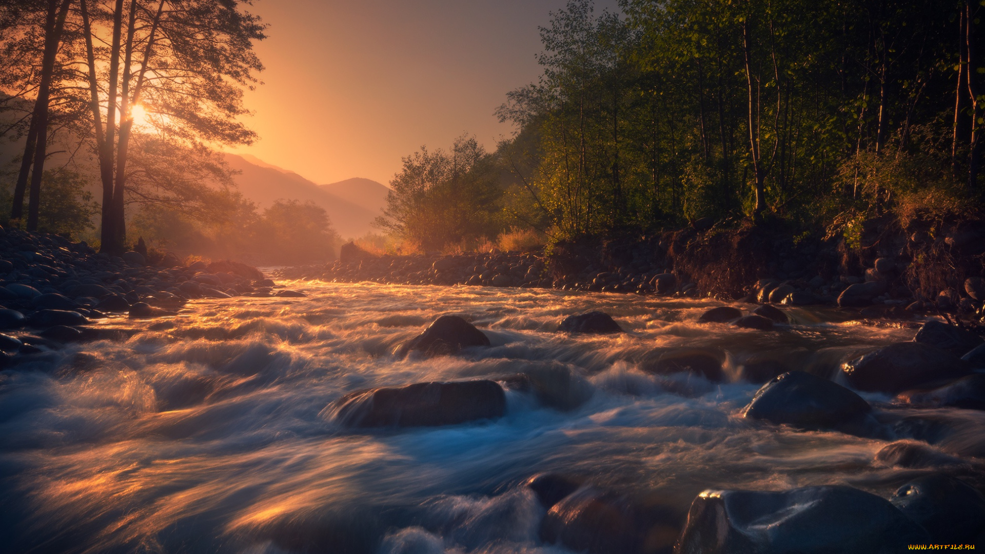 природа, реки, озера, вода, река, дерево, солнце