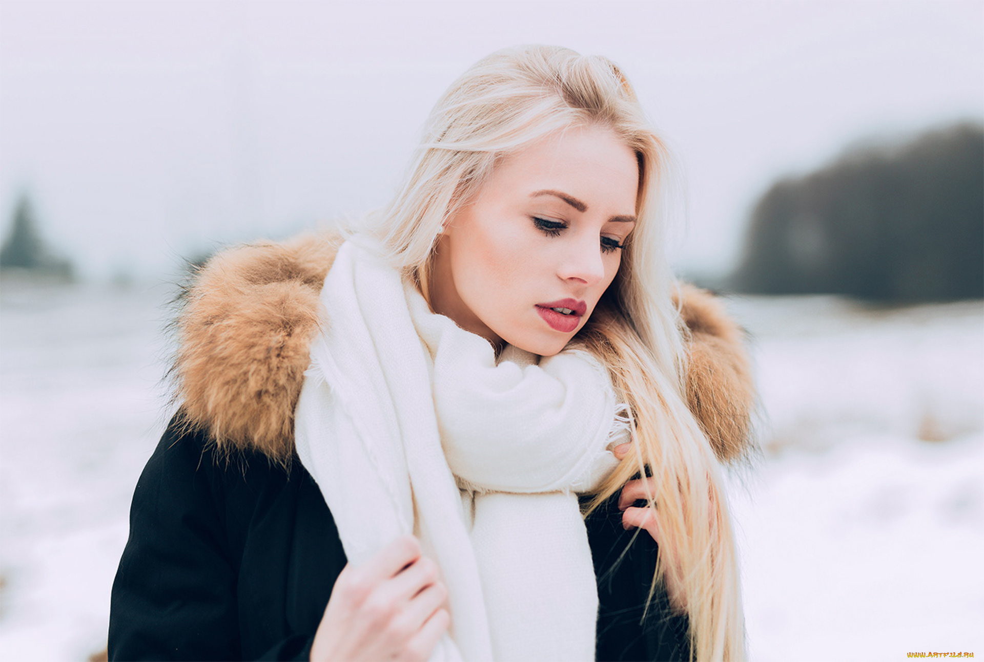 девушка, девушки, -unsort, , блондинки, , светловолосые, модель