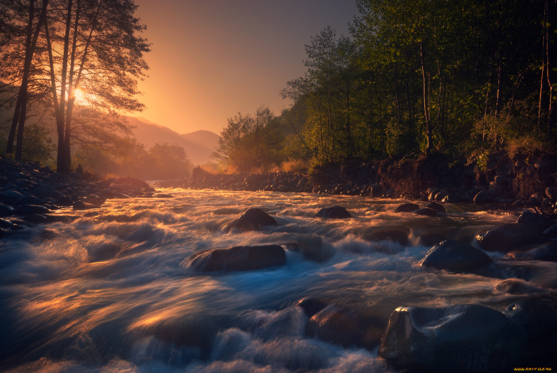 природа, реки, озера, вода, река, дерево, солнце