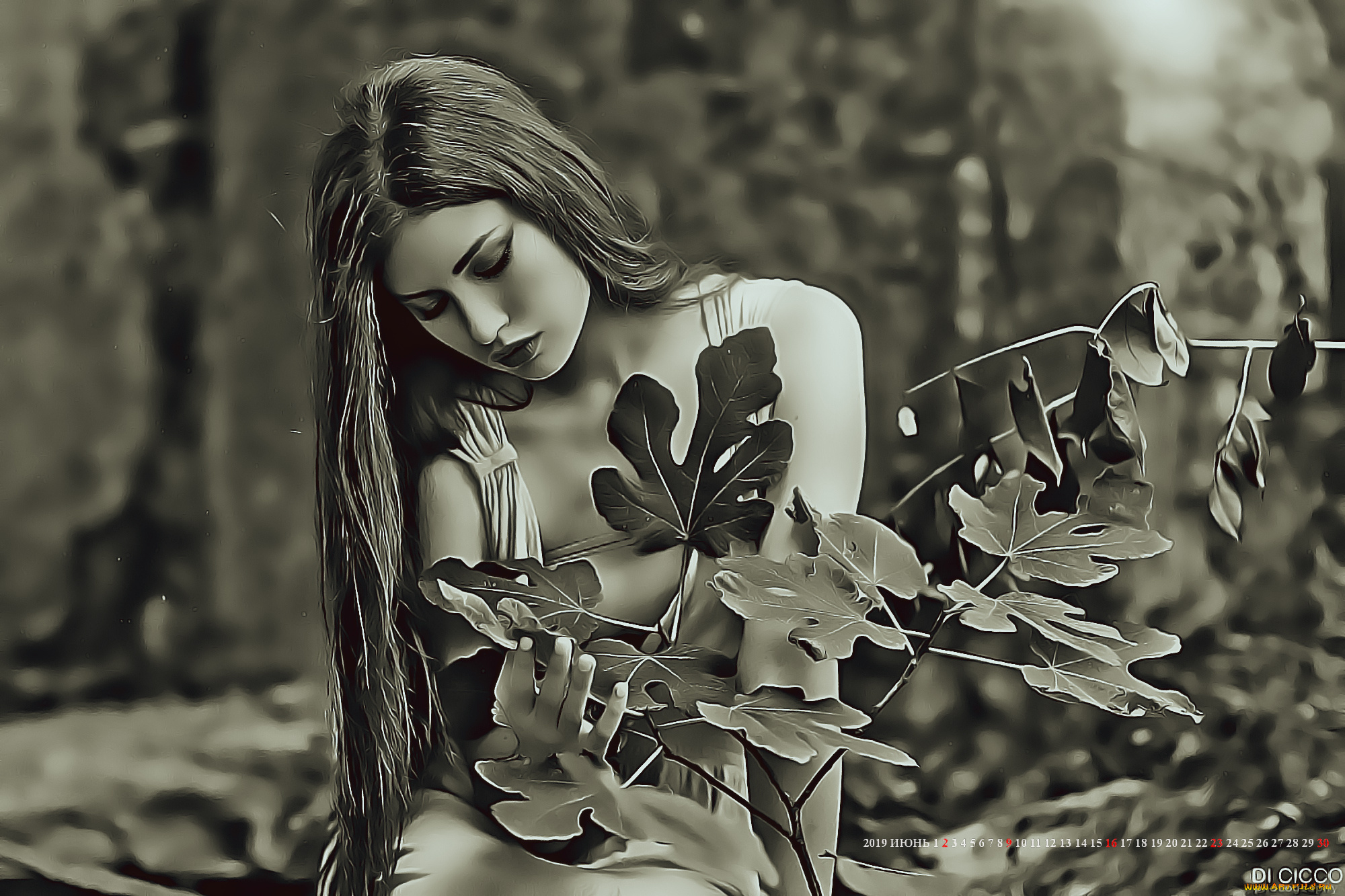 календари, компьютерный, дизайн, 2019, calendar, женщина, растение, природа, листья, девушка