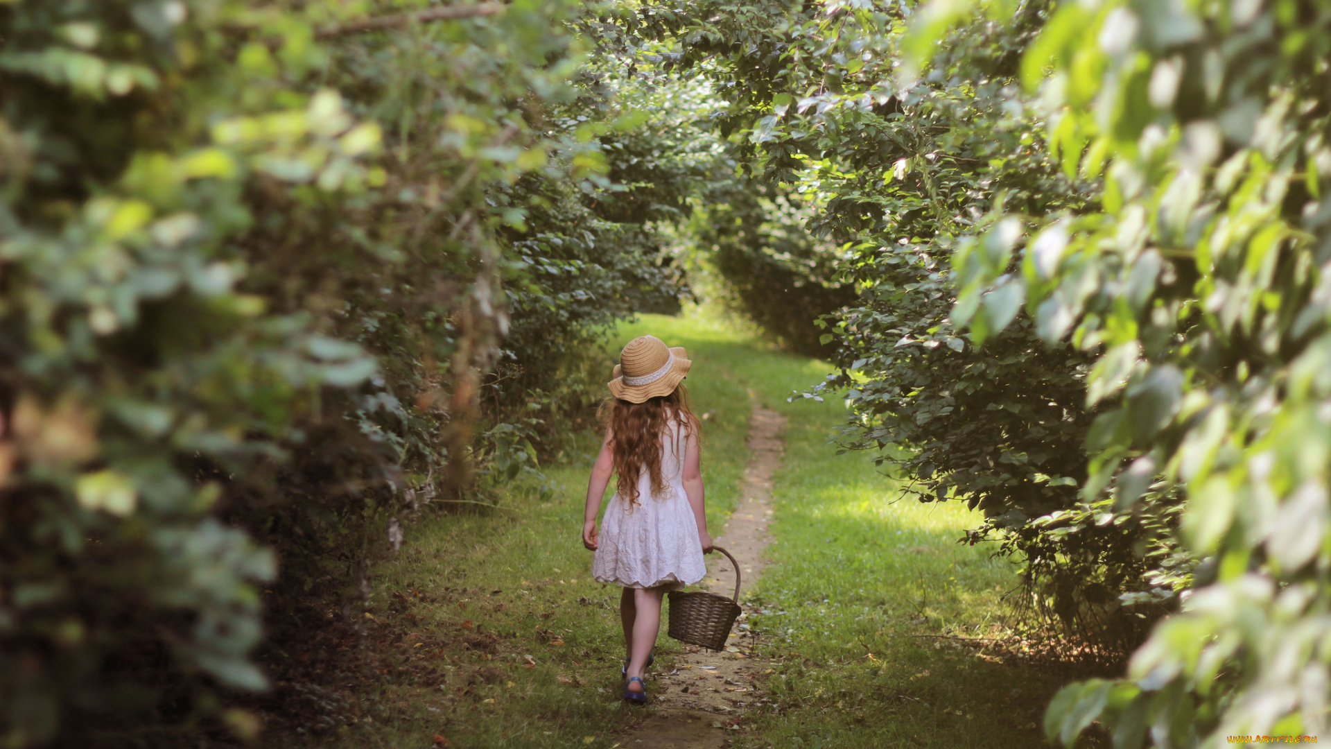разное, люди, девочка, шляпа, корзина, тропинка, кусты