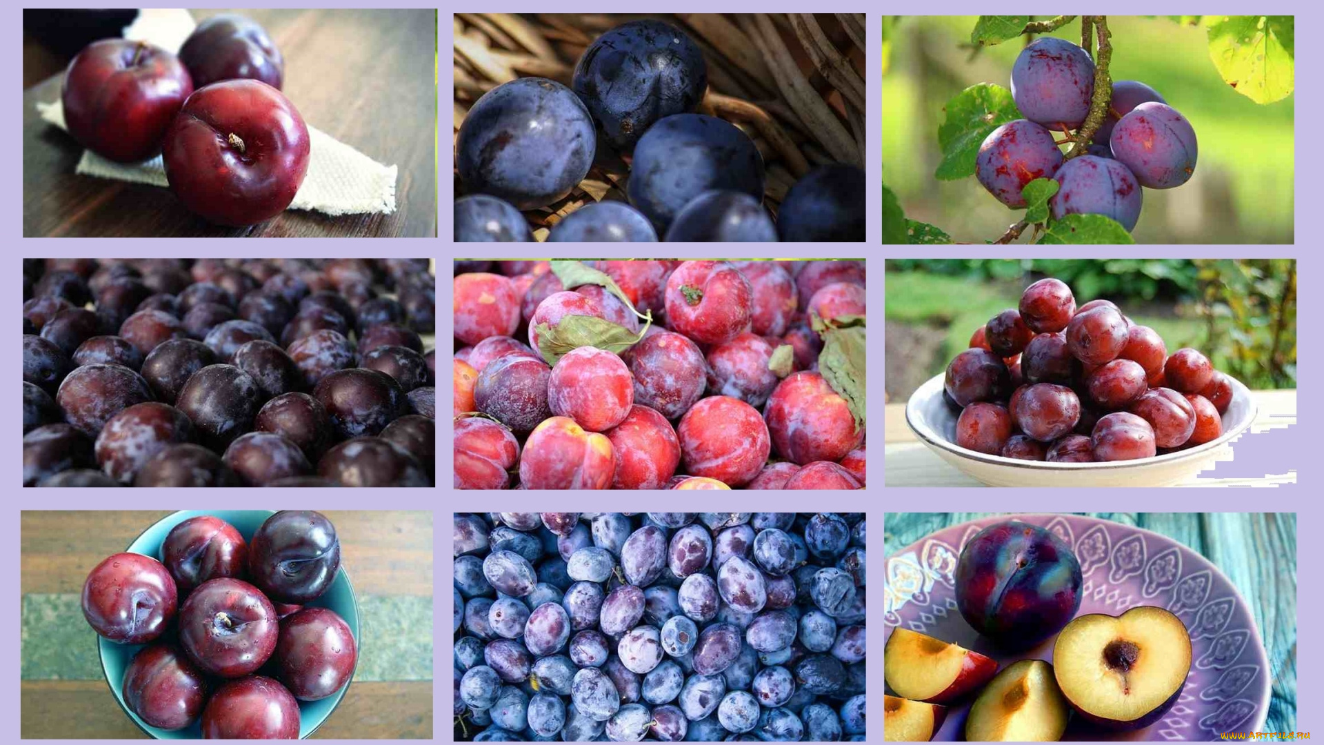 еда, персики, , сливы, , абрикосы, коллаж, сливы, ассорти