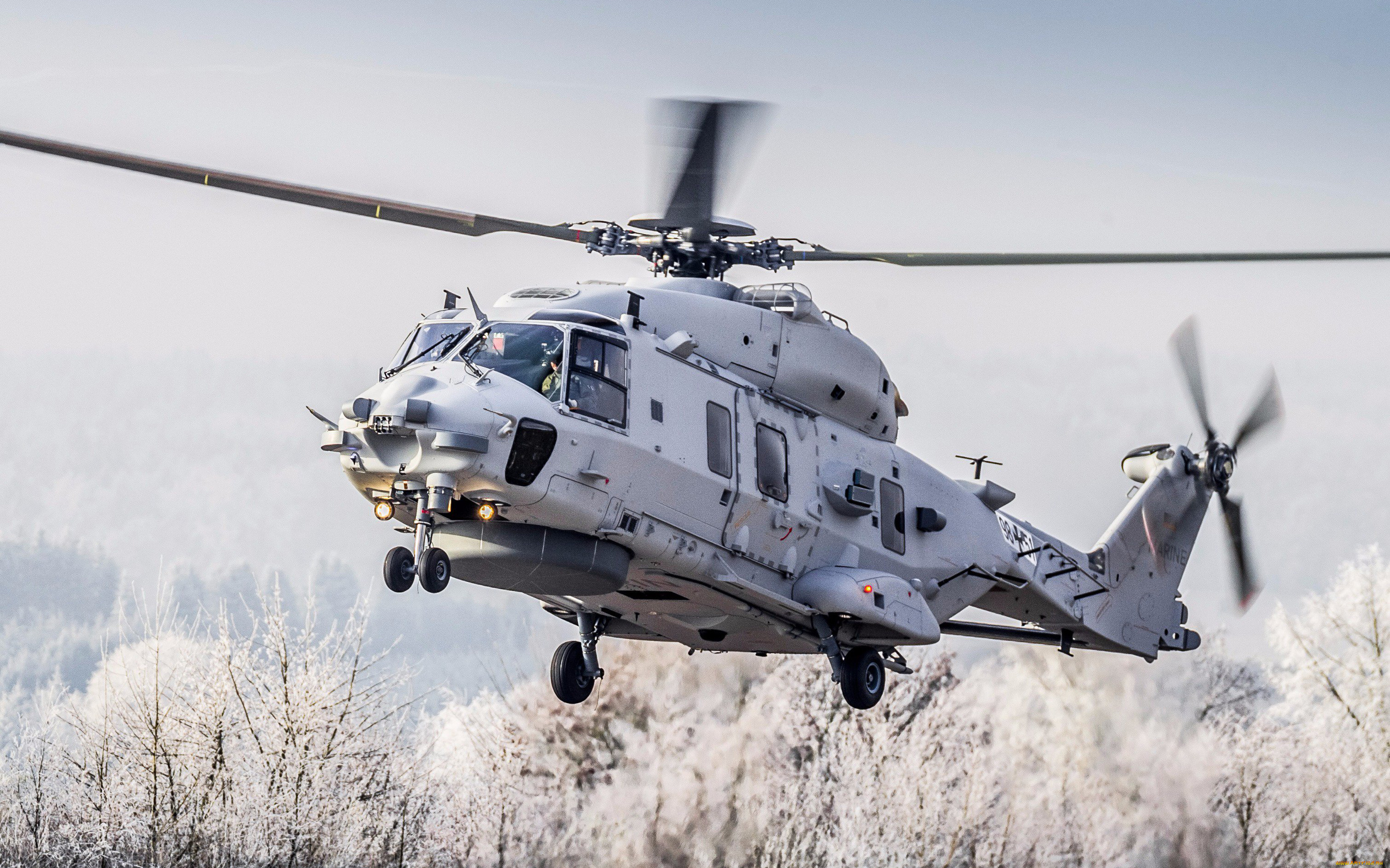 авиация, вертолёты, nh90, sea, lion, 4k, военные, вертолеты, вмс, германии, nhi, бундесвер, армия