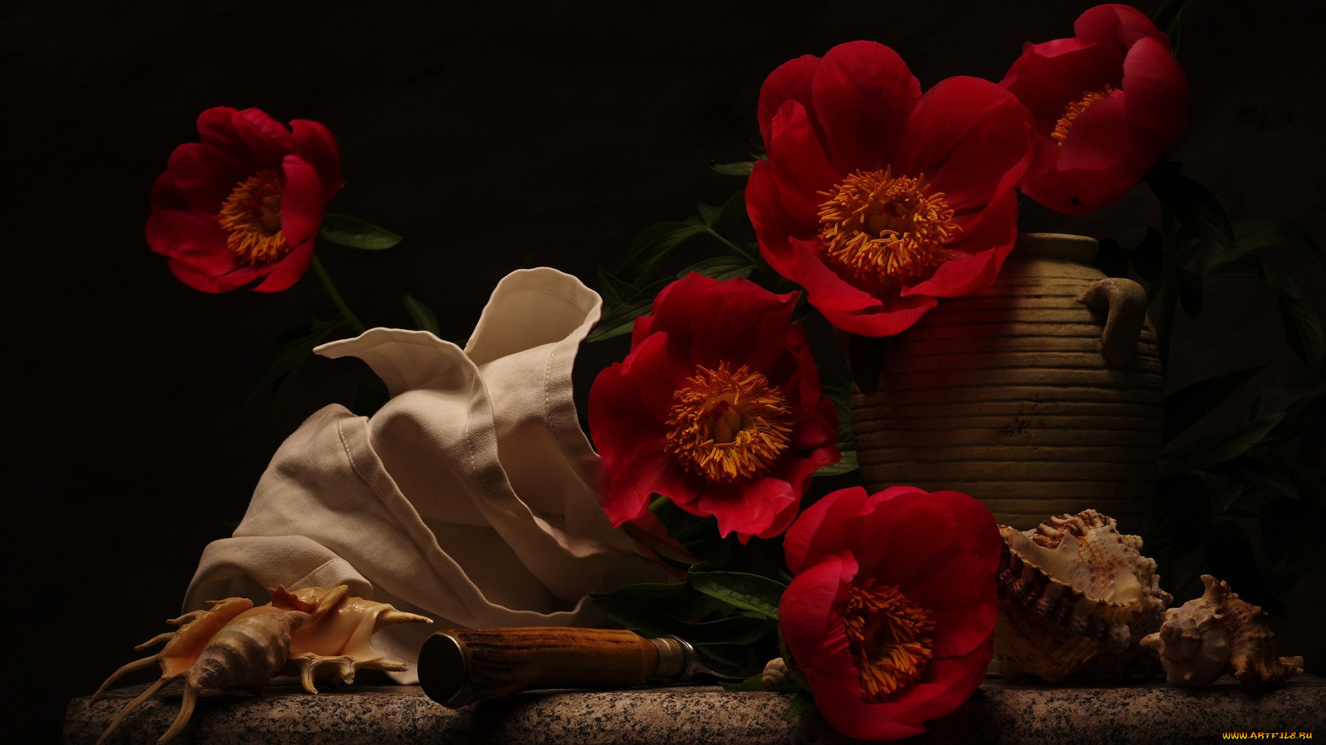 цветы, пионы, композиция, красные, ракушки