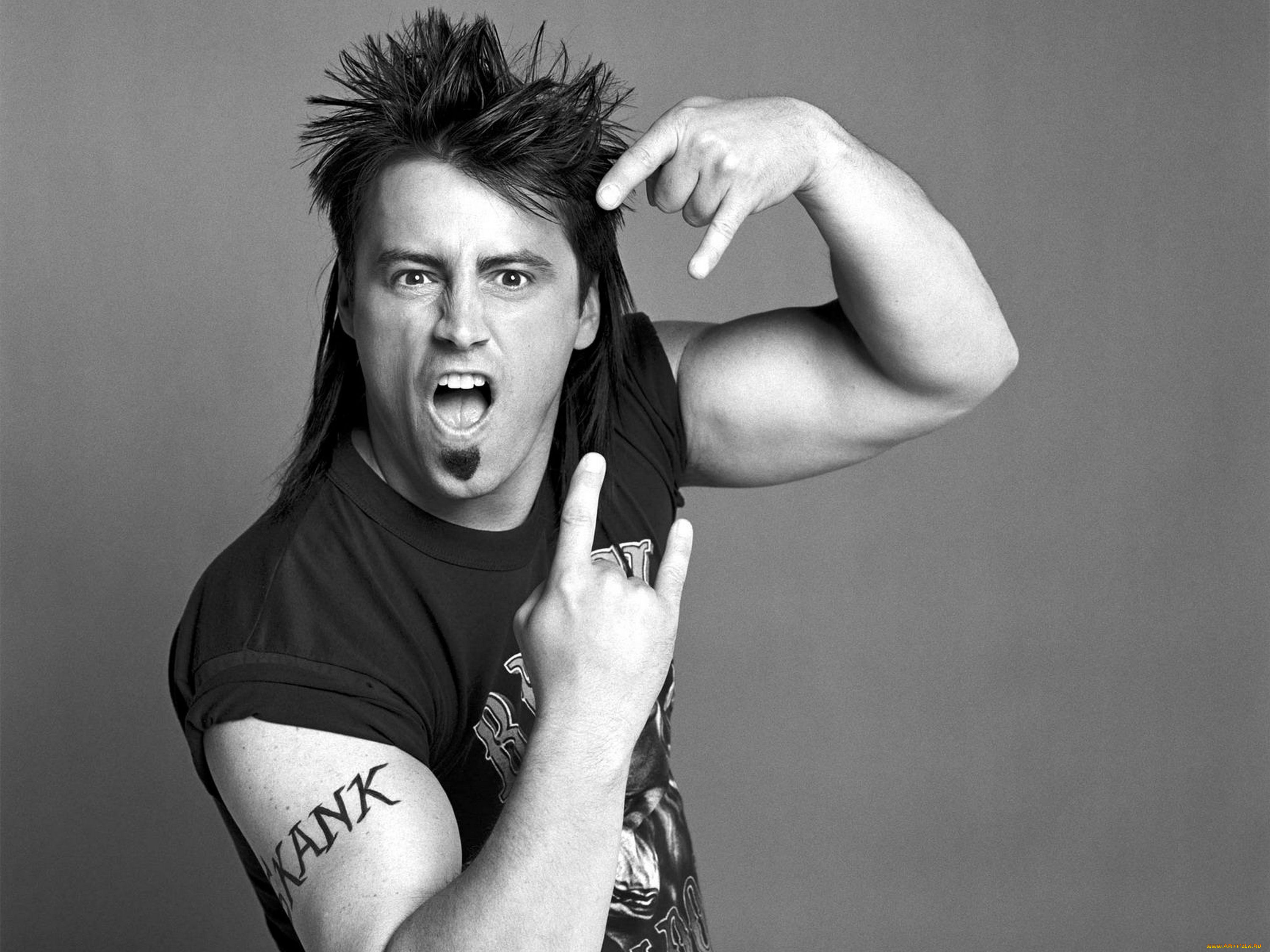 мужчины, matt, leblanc, актер, футболка, жест