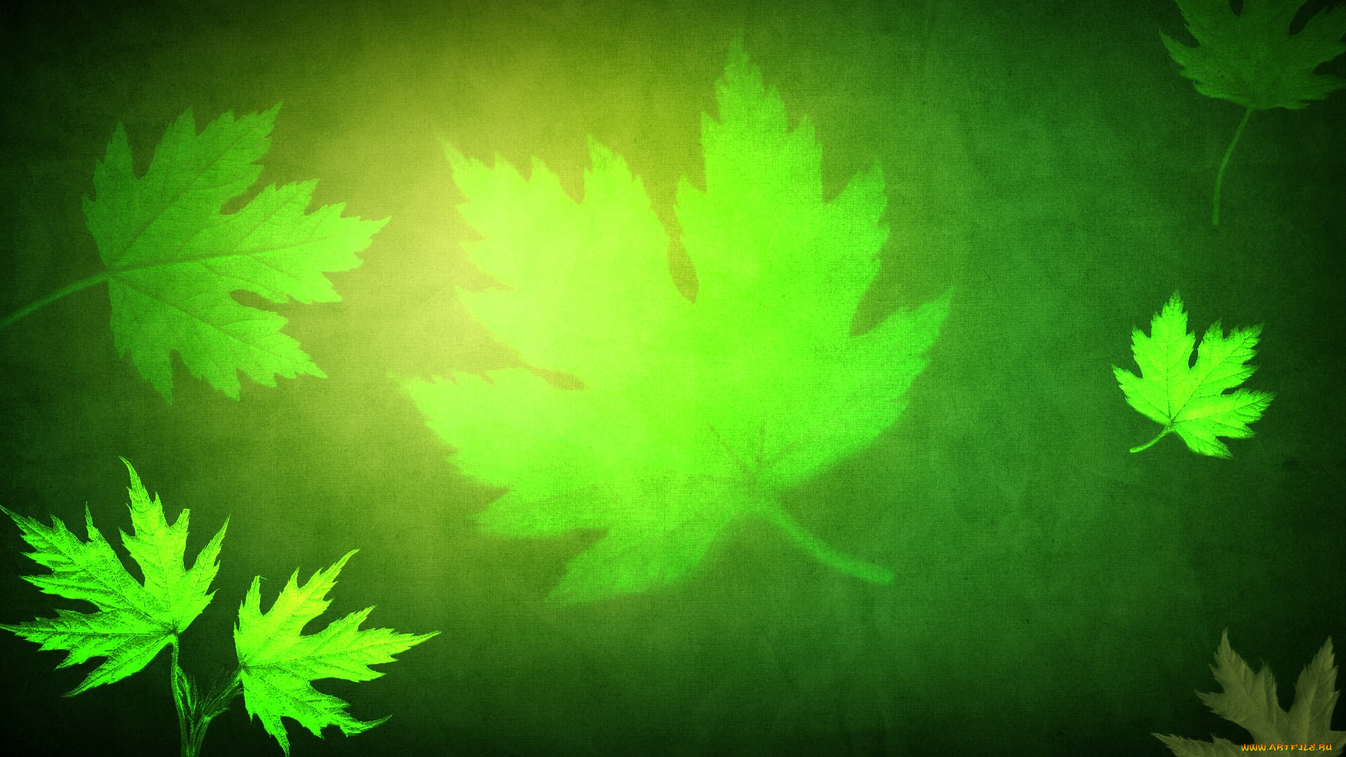 рисованное, природа, листья, кленовые, зеленый, фон