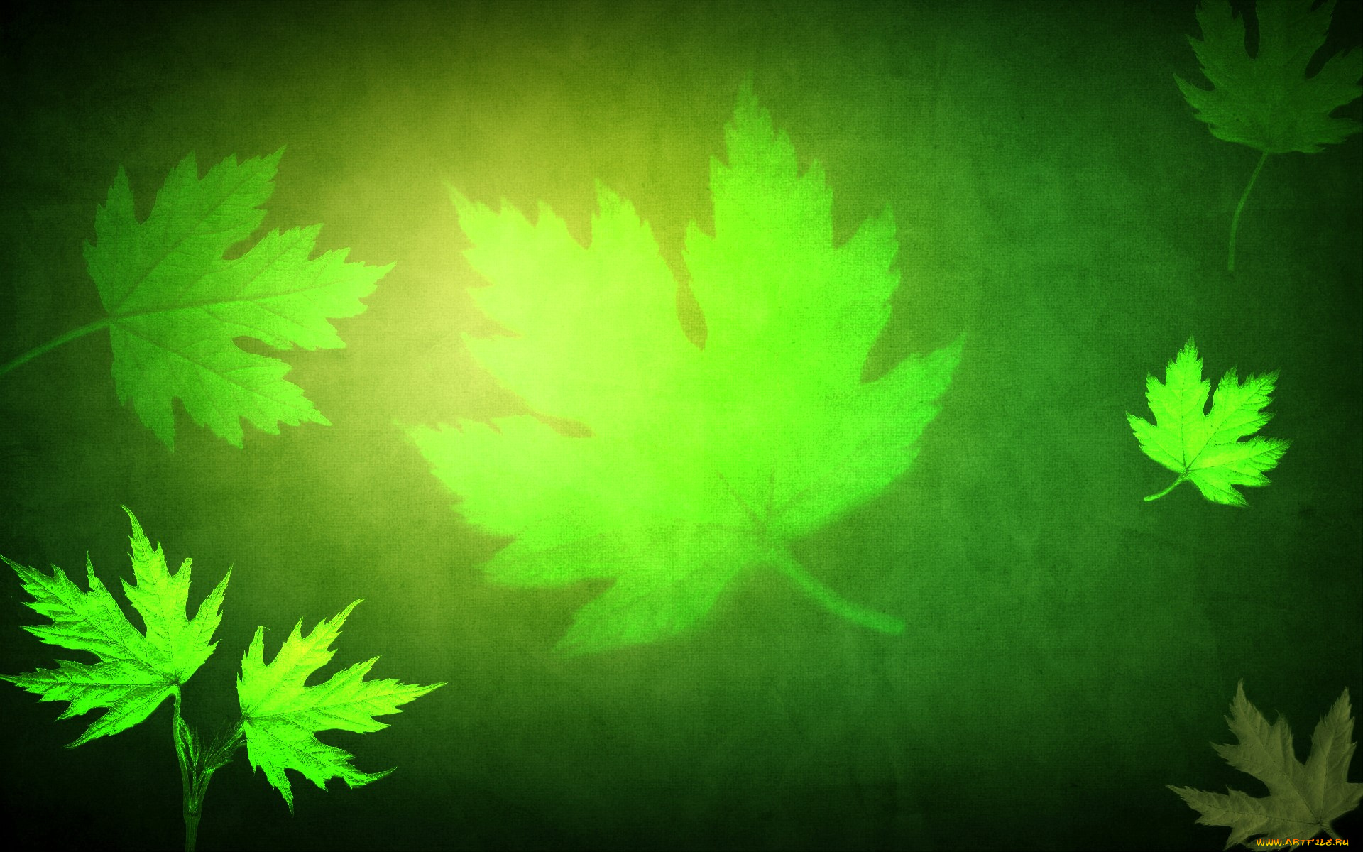 рисованное, природа, листья, кленовые, зеленый, фон