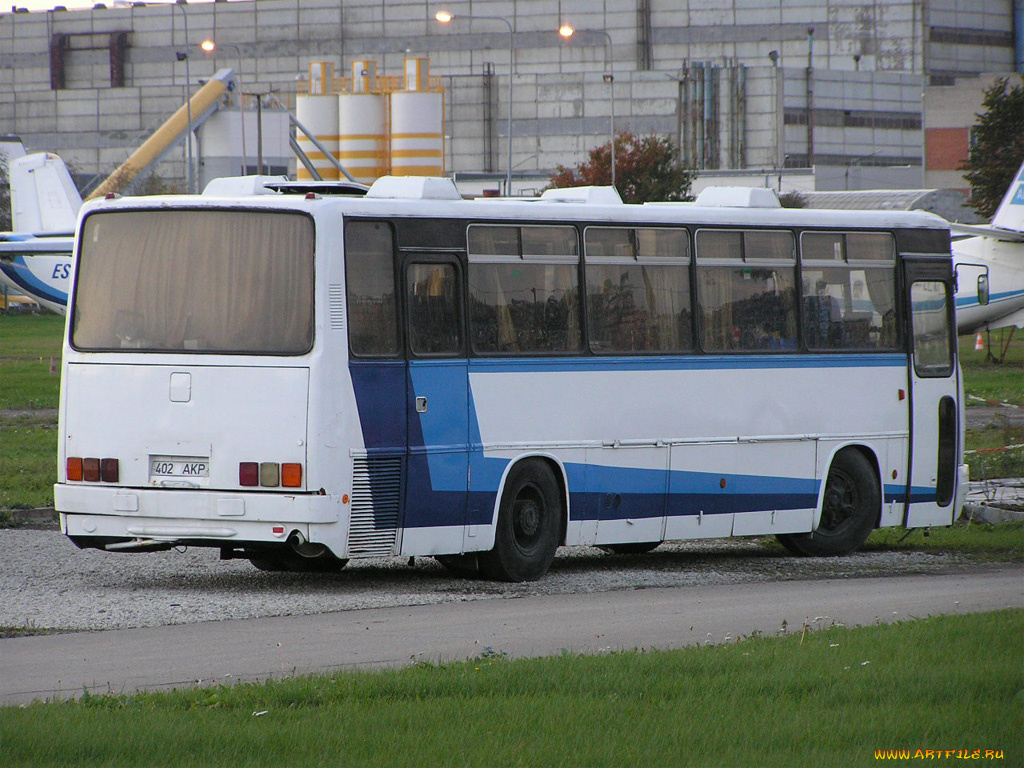 автомобили, автобусы