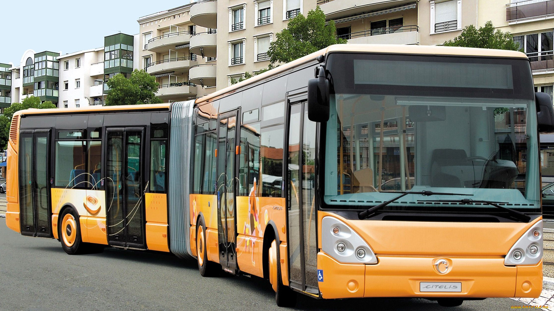 автомобили, автобусы