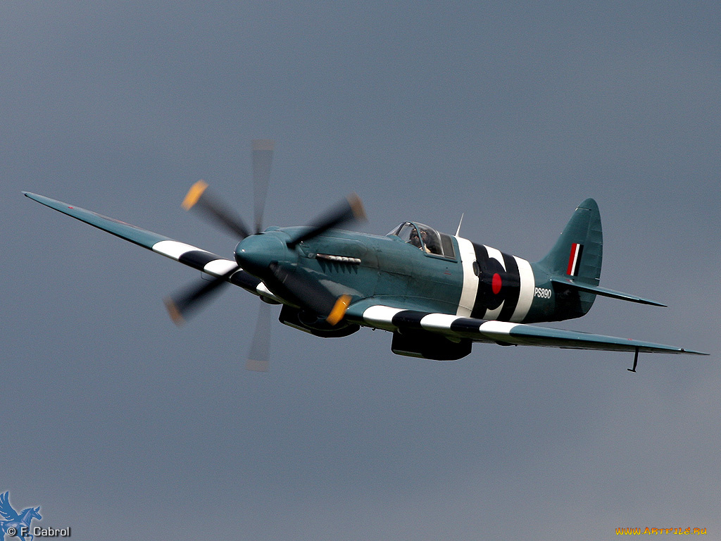 авиация, лёгкие, одномоторные, самолёты