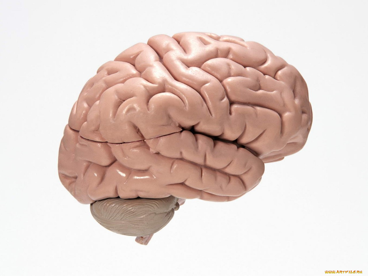 разное, медицина