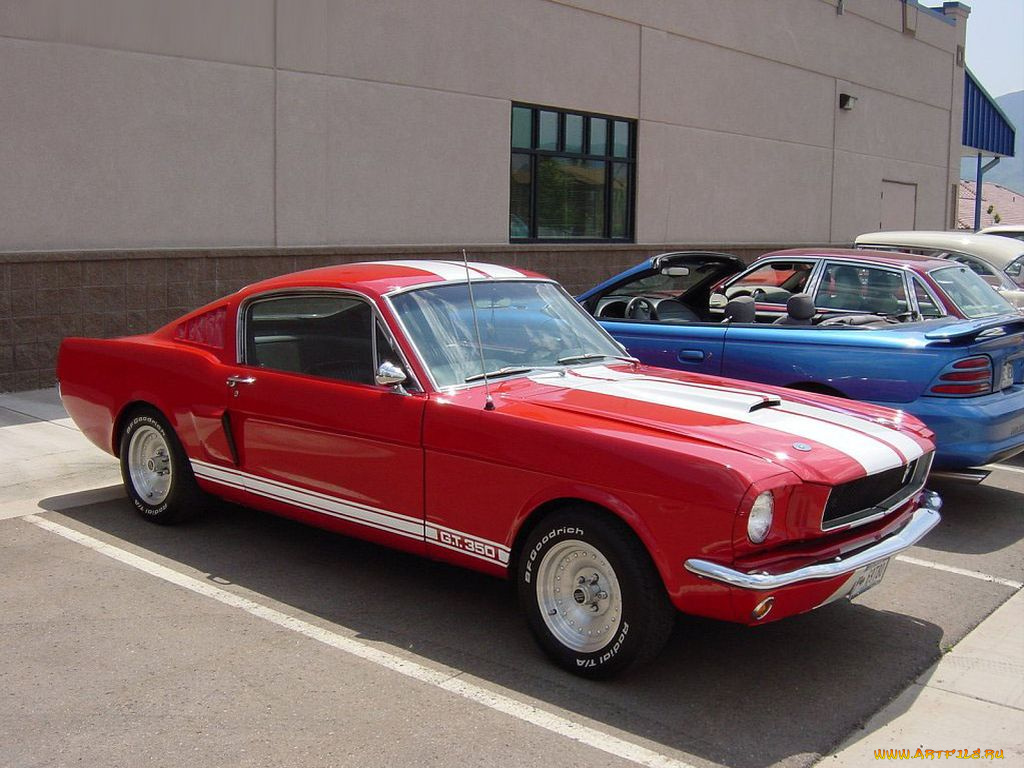 shelby, автомобили, ford