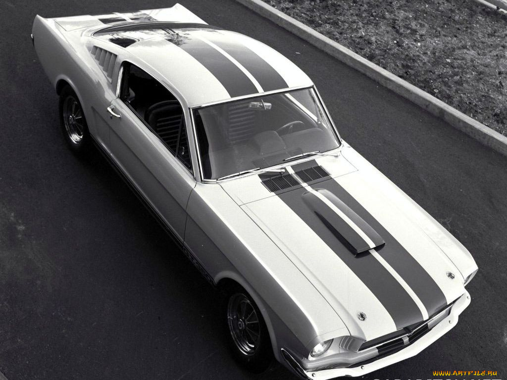 shelby, автомобили, ford