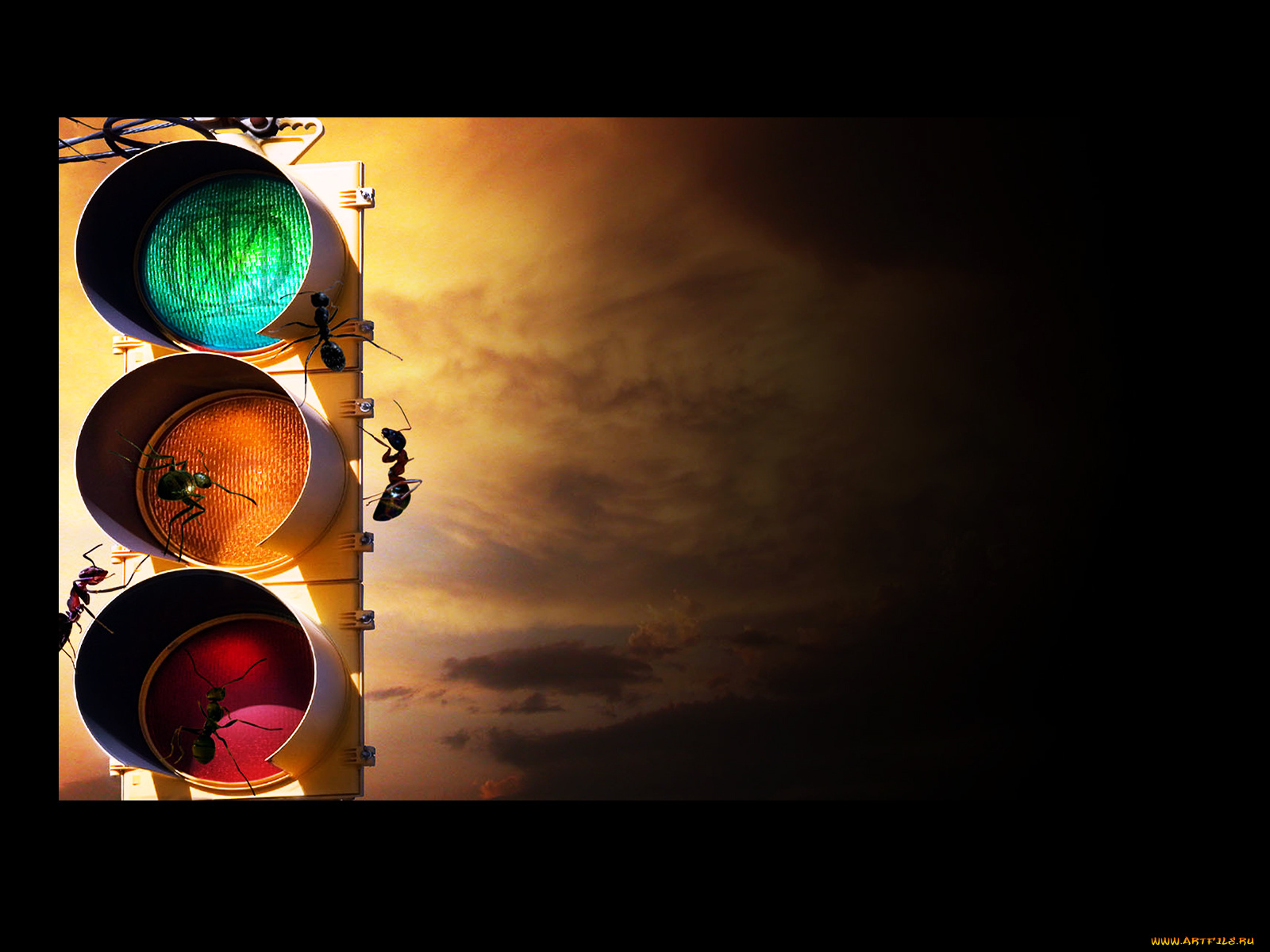 разное, другое