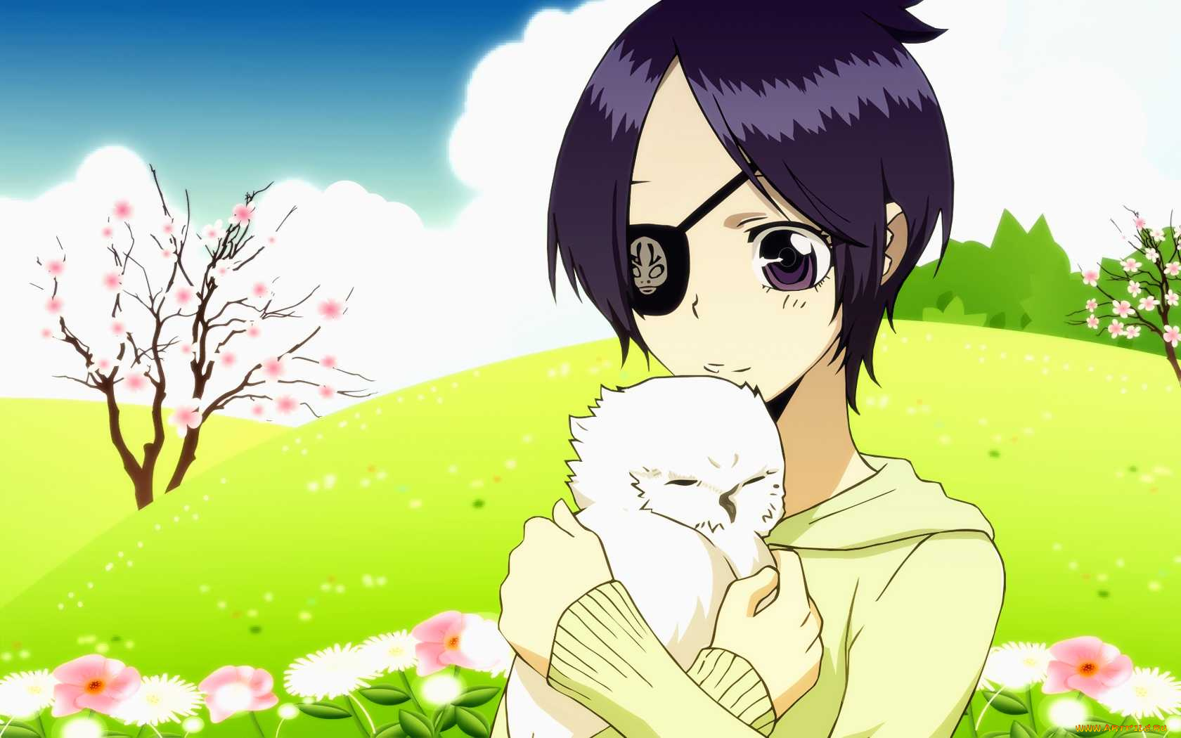 katekyo, hitman, reborn, аниме