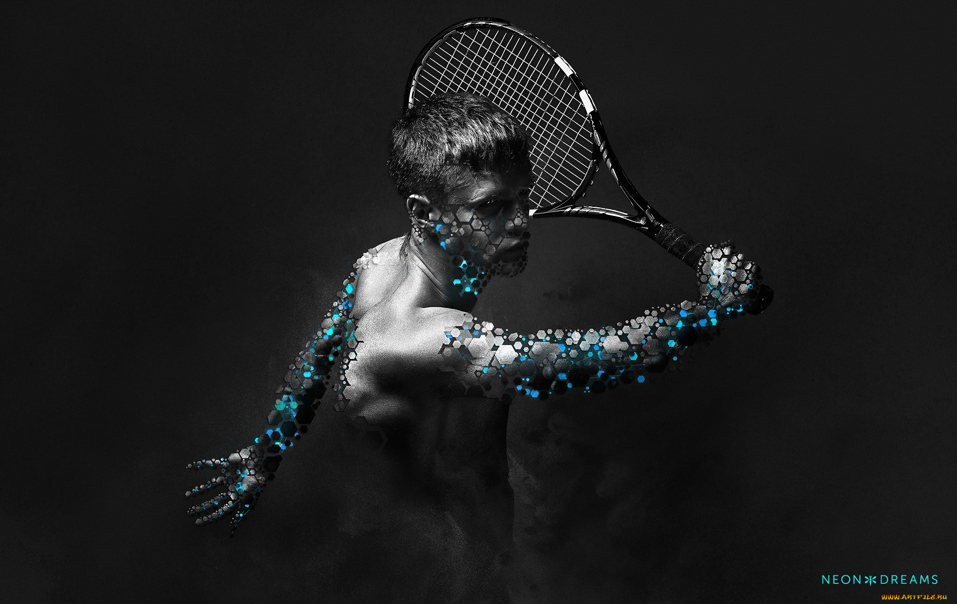 спорт, теннис