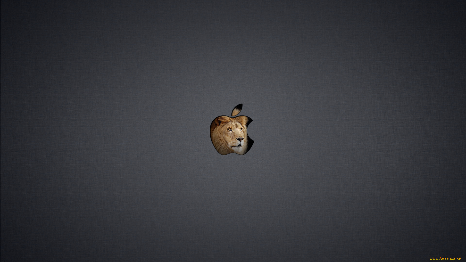 компьютеры, apple