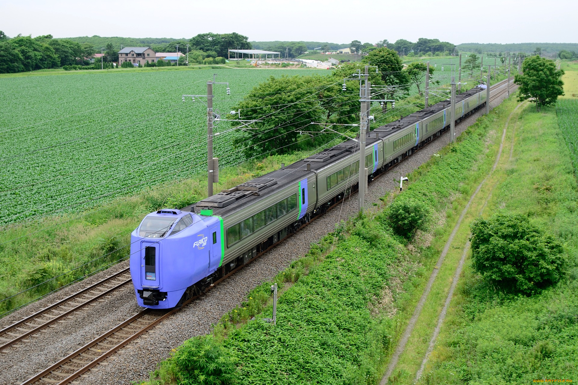 техника, поезда, поезд