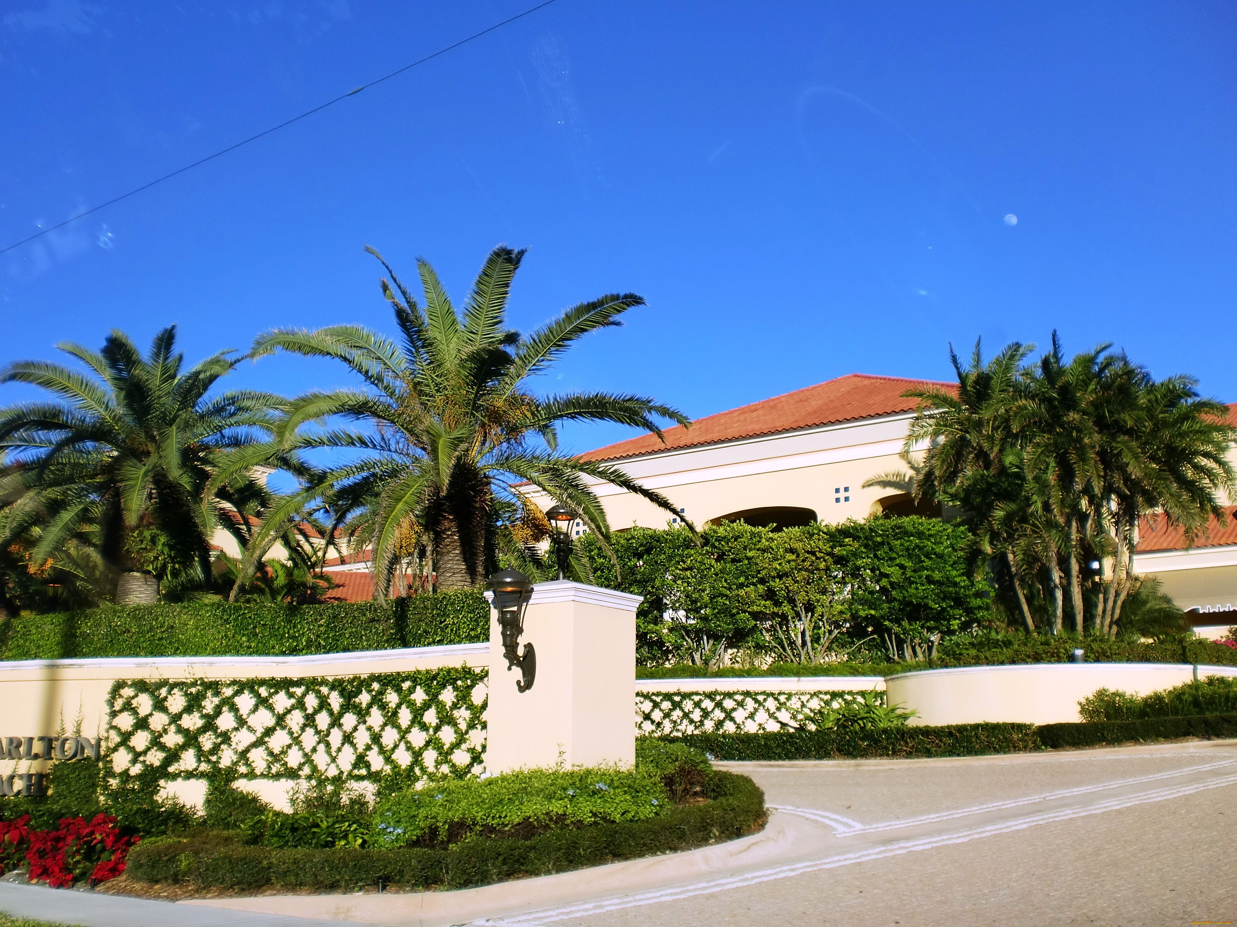 майами, города, улицы, площади, набережные, пальма