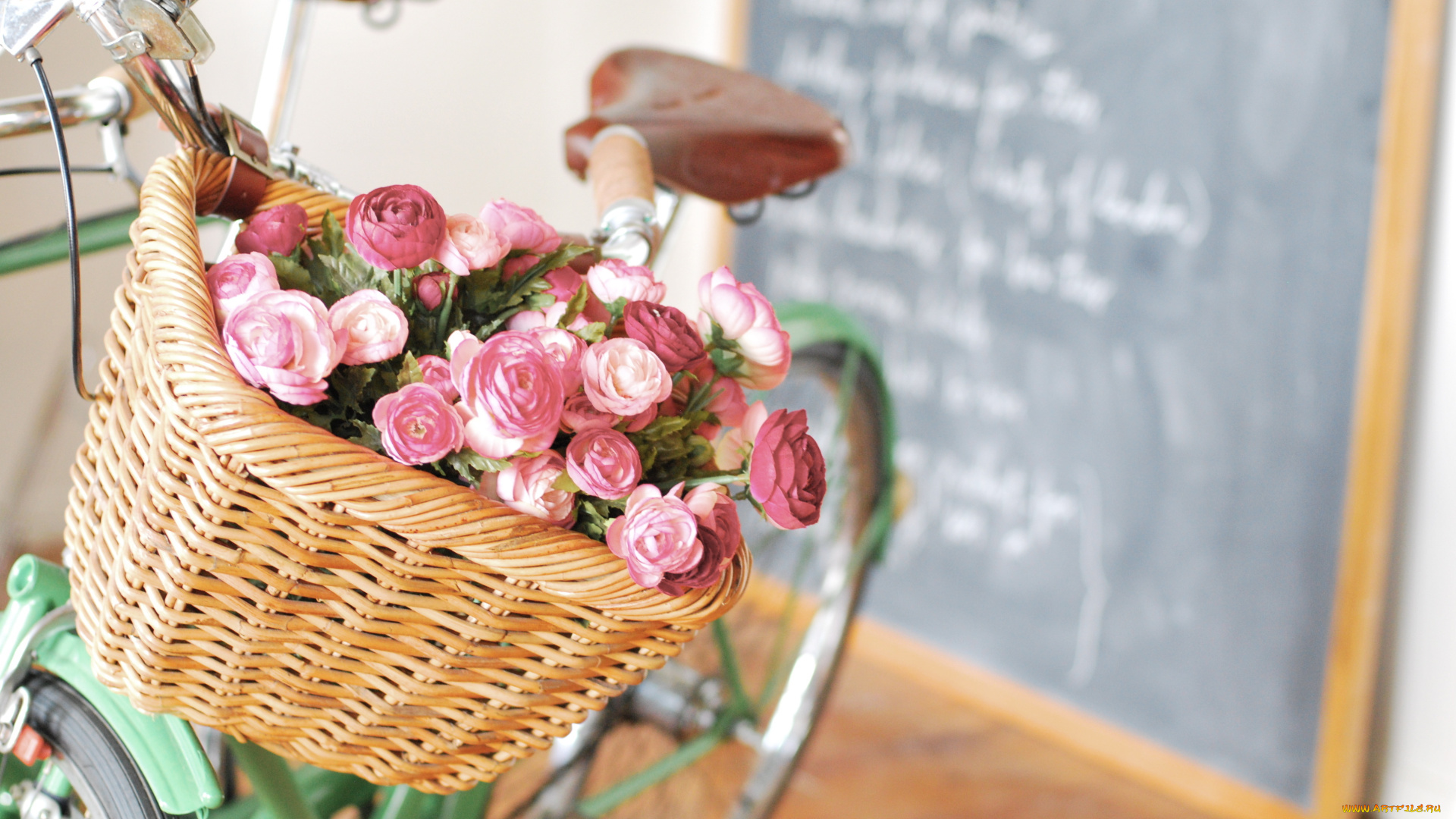 цветы, ранункулюс, азиатский, лютик, велосипед, корзина