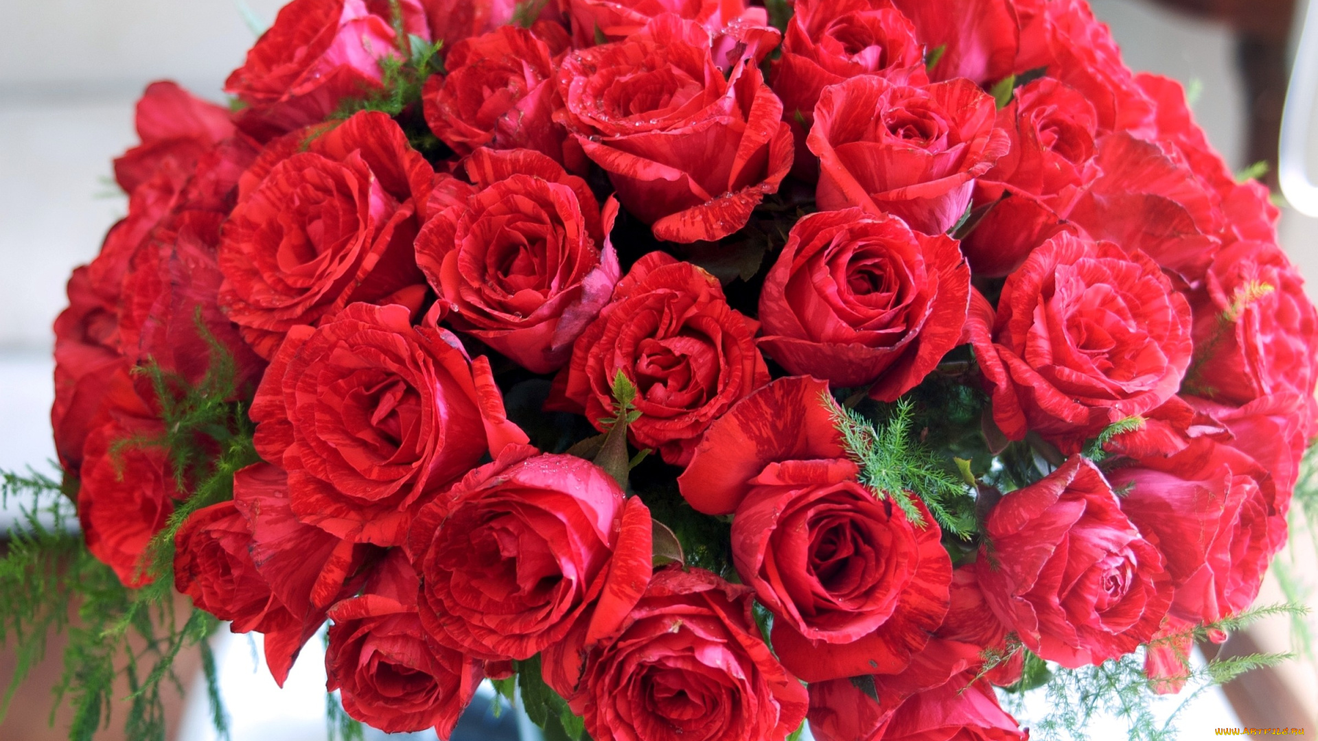 цветы, розы, красный, букет