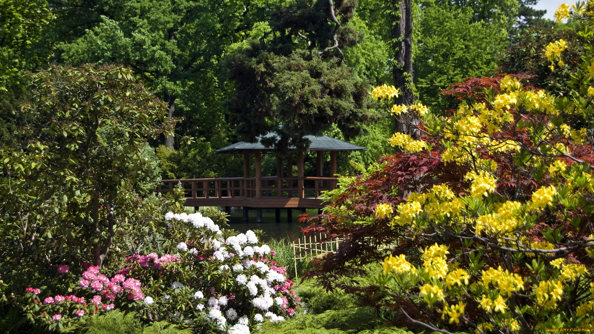 польша, вроцлав, природа, парк, цветы, беседка, река, мостик