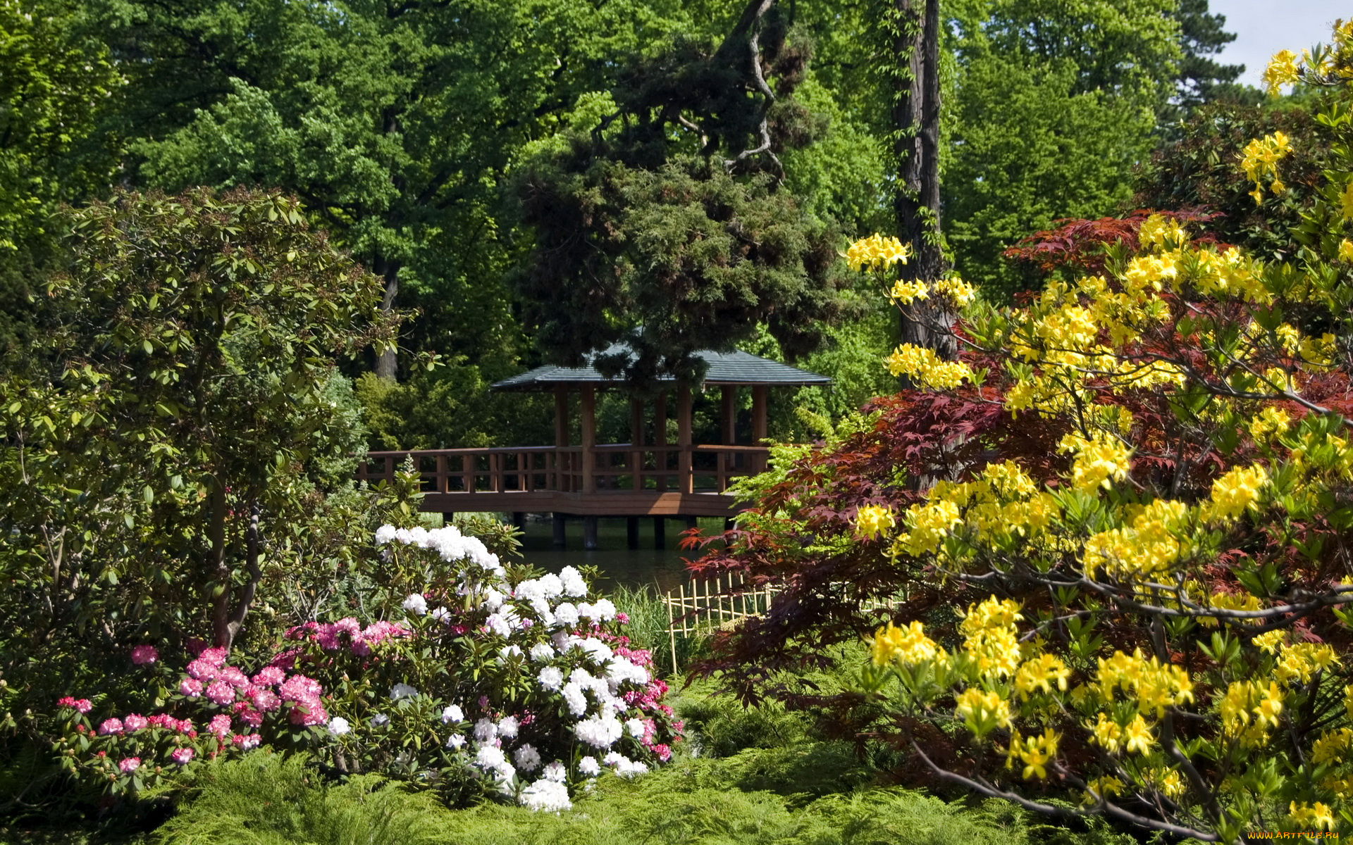 польша, вроцлав, природа, парк, цветы, беседка, река, мостик