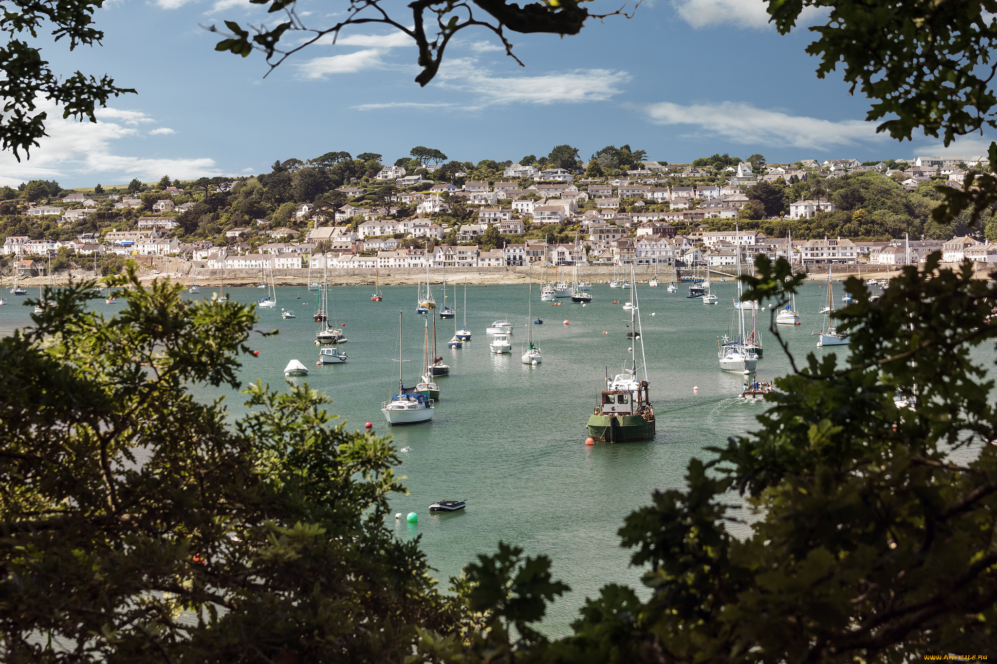 st, mawes, cornwall, england, корабли, разные, вместе, сейнт, мауэс, корнуолл, англия, гавань, яхты, катера, рейд, деревья
