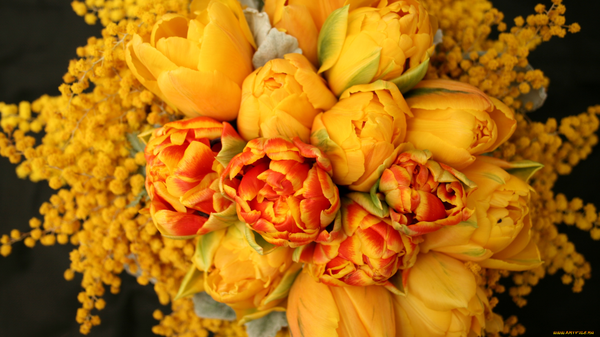 цветы, букеты, , композиции, мимоза, тюльпаны