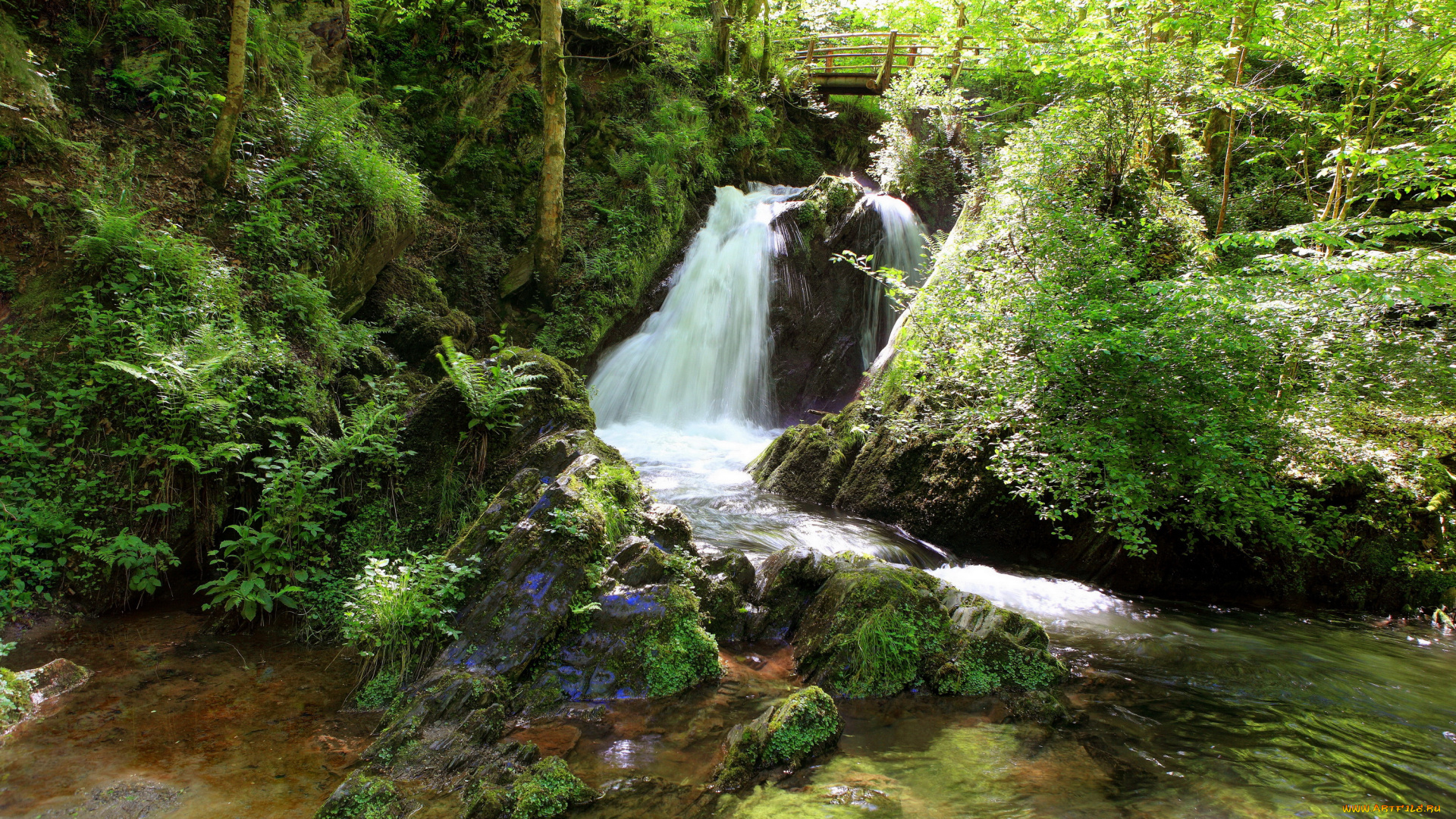 германия, , , лайенкауль, природа, водопады, германия, лайенкауль, водопад, трава, камни, кусты