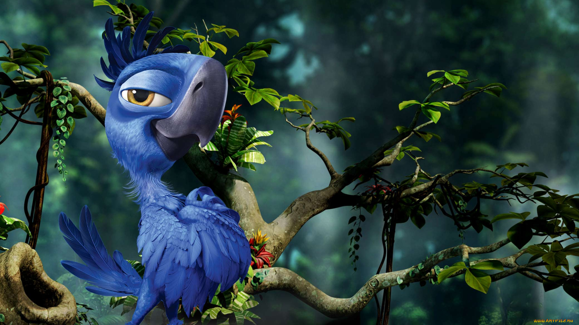 мультфильмы, rio, 2, попугай