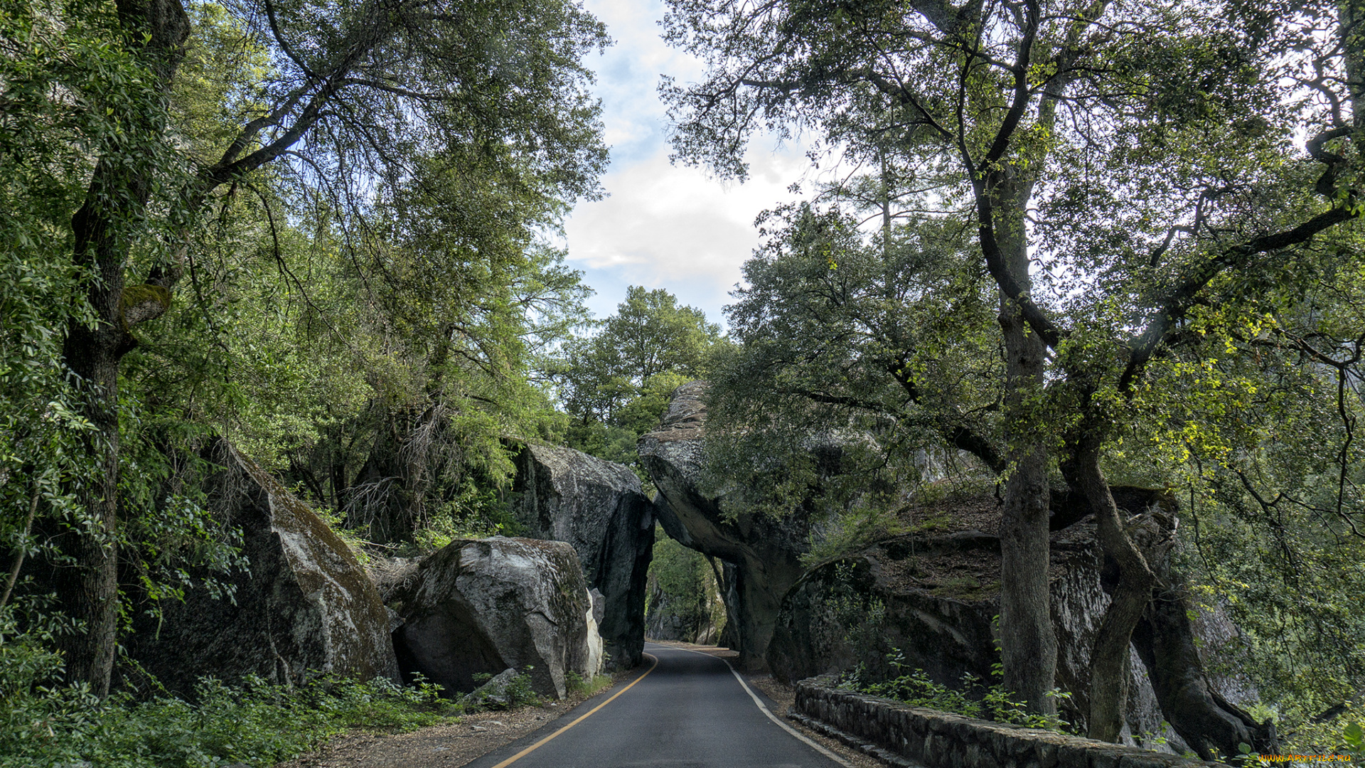 природа, дороги, арка, шоссе, лес