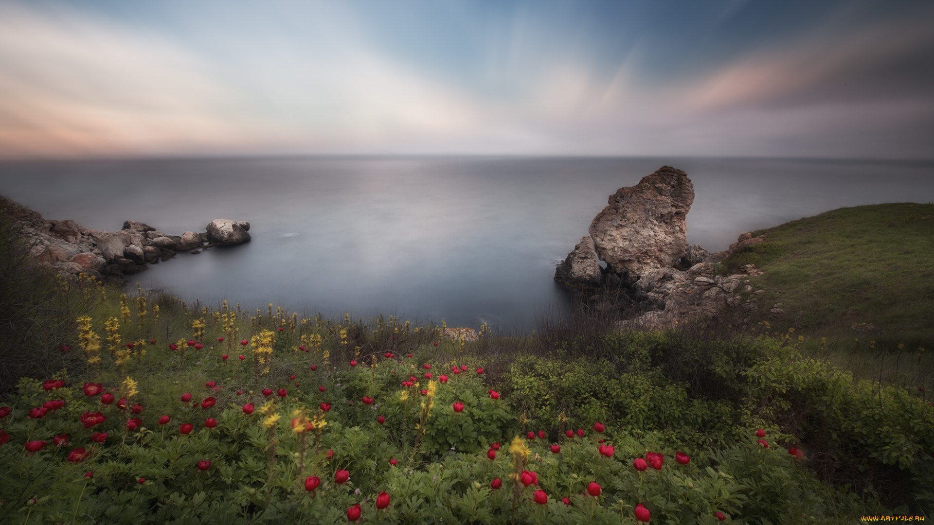 природа, пейзажи, красота, цветы, скалы, пейзаж, море