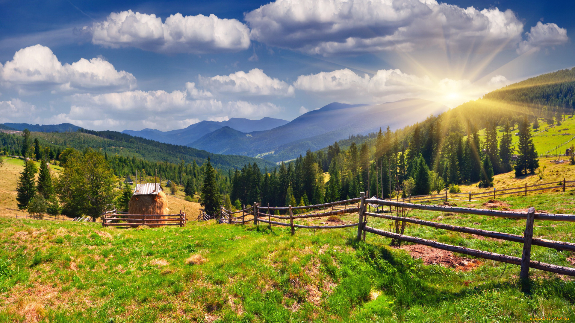 природа, пейзажи, пейзаж, луга, ели, облака, лучи