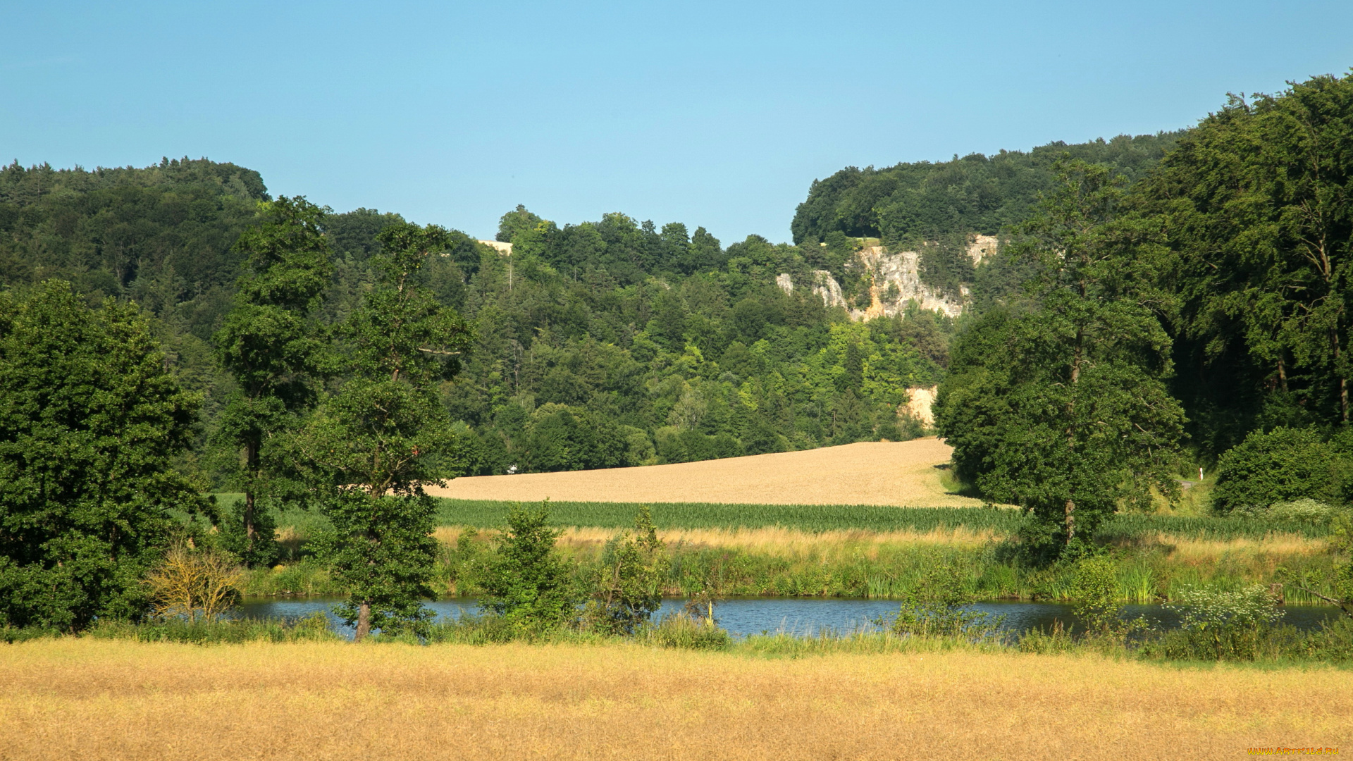 природа, реки, озера, бавария, германия, трава, деревья, река
