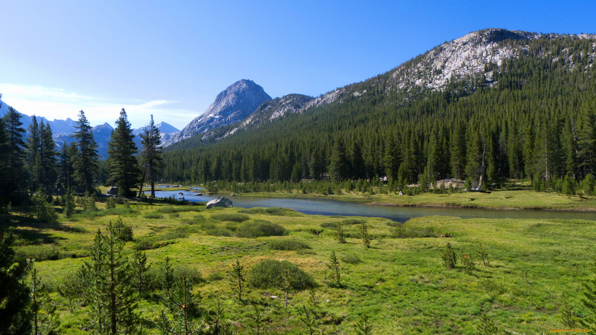 природа, реки, озера, ели, трава, пейзаж, горы, сша, вашингтон