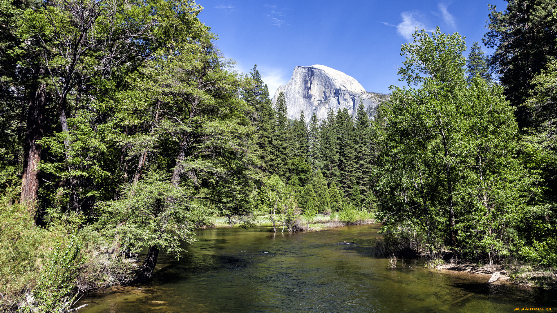 природа, реки, озера, лес, горы, река