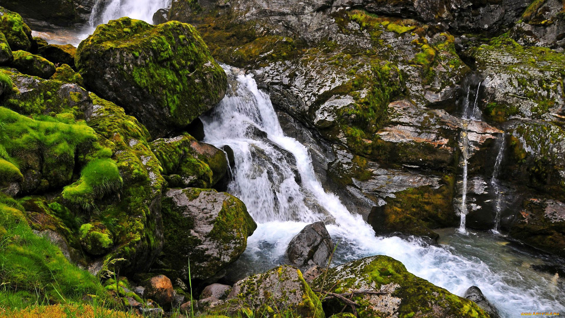 природа, реки, озера, поток, камни