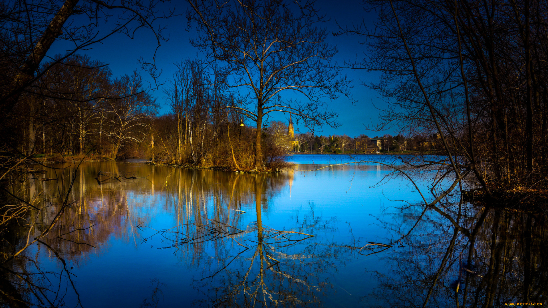 природа, реки, озера, река, лес