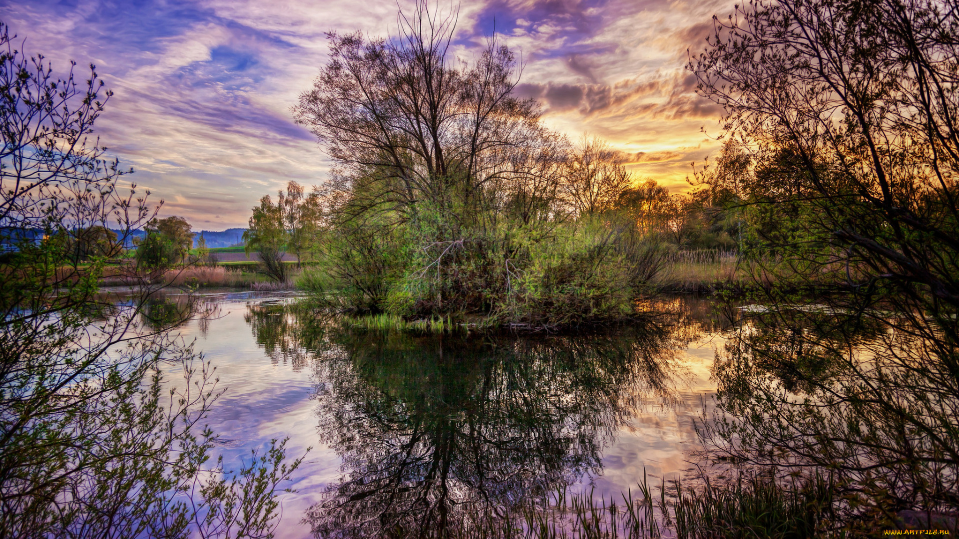 природа, восходы, закаты, река, заросли, заря, облака