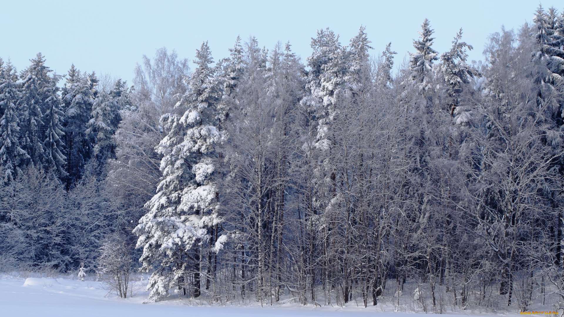 природа, зима, снег, деревья